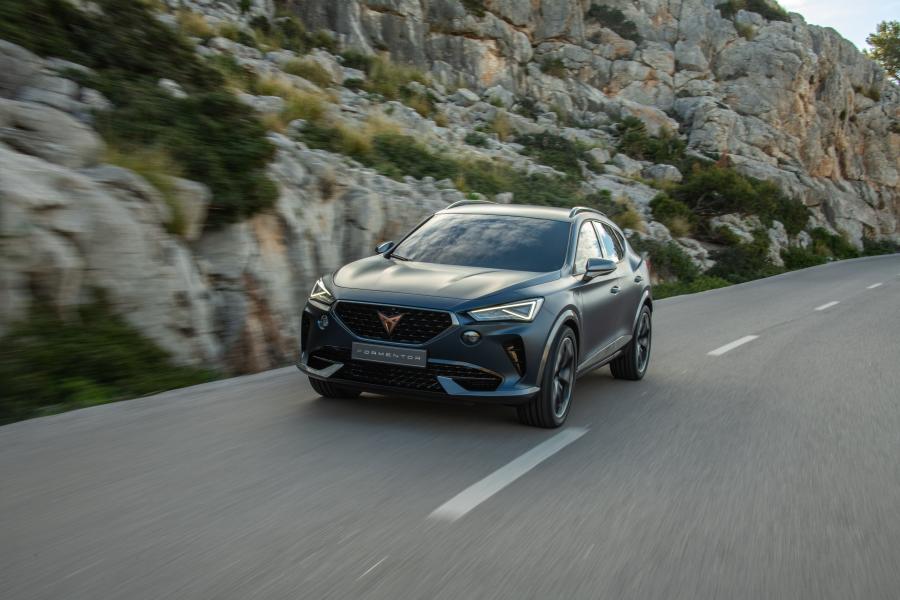  Cupra Formentor 2019 года  (фото 23 из 24)